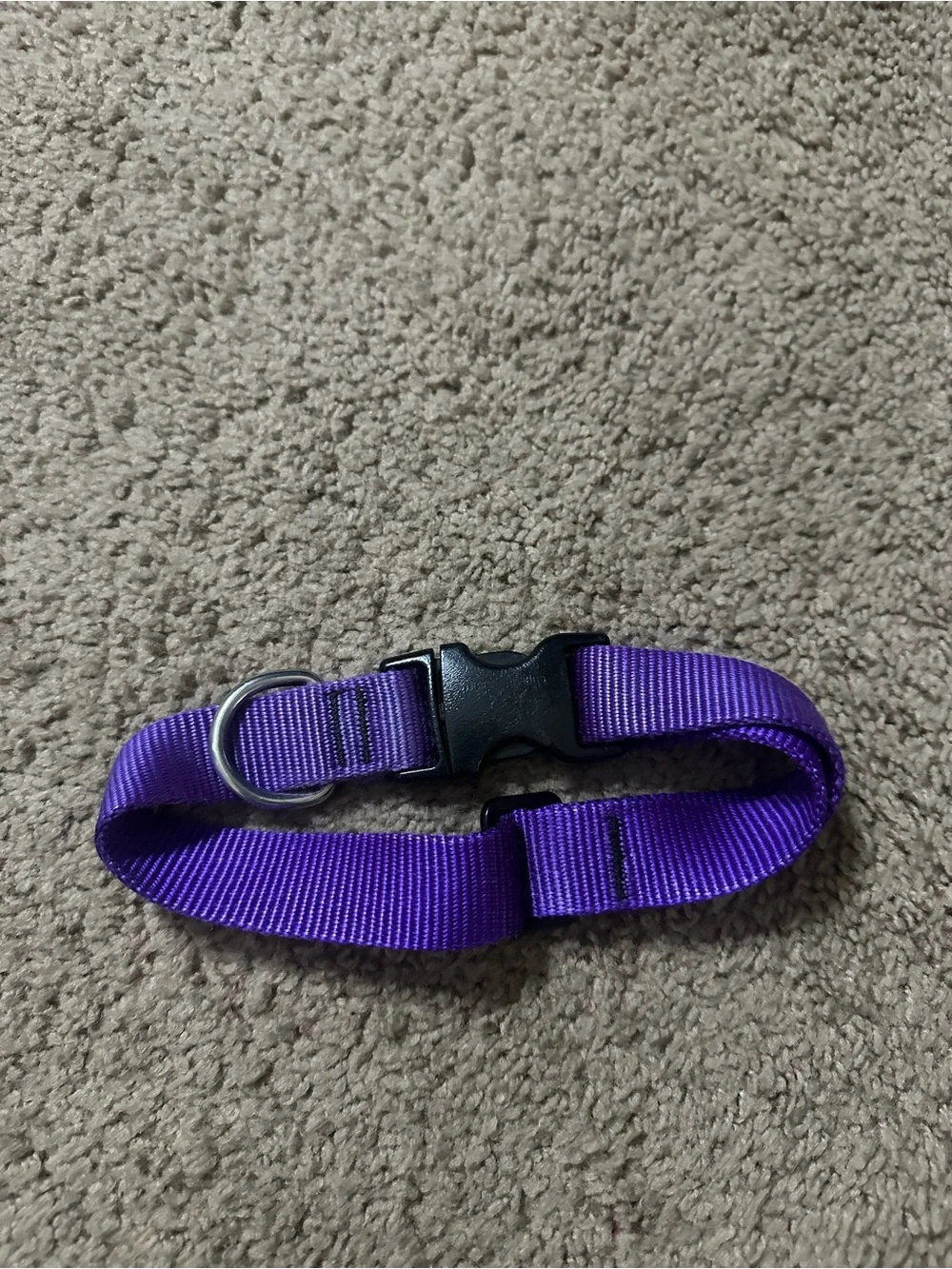 Medium/Large Adjustable Purple Dog Collar with Quick-Release Buckle